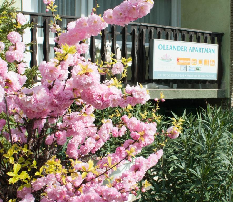 Oleander Apartman เฮวิซ ภายนอก รูปภาพ