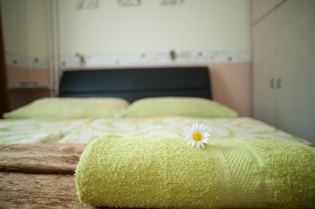 Oleander Apartman เฮวิซ ภายนอก รูปภาพ